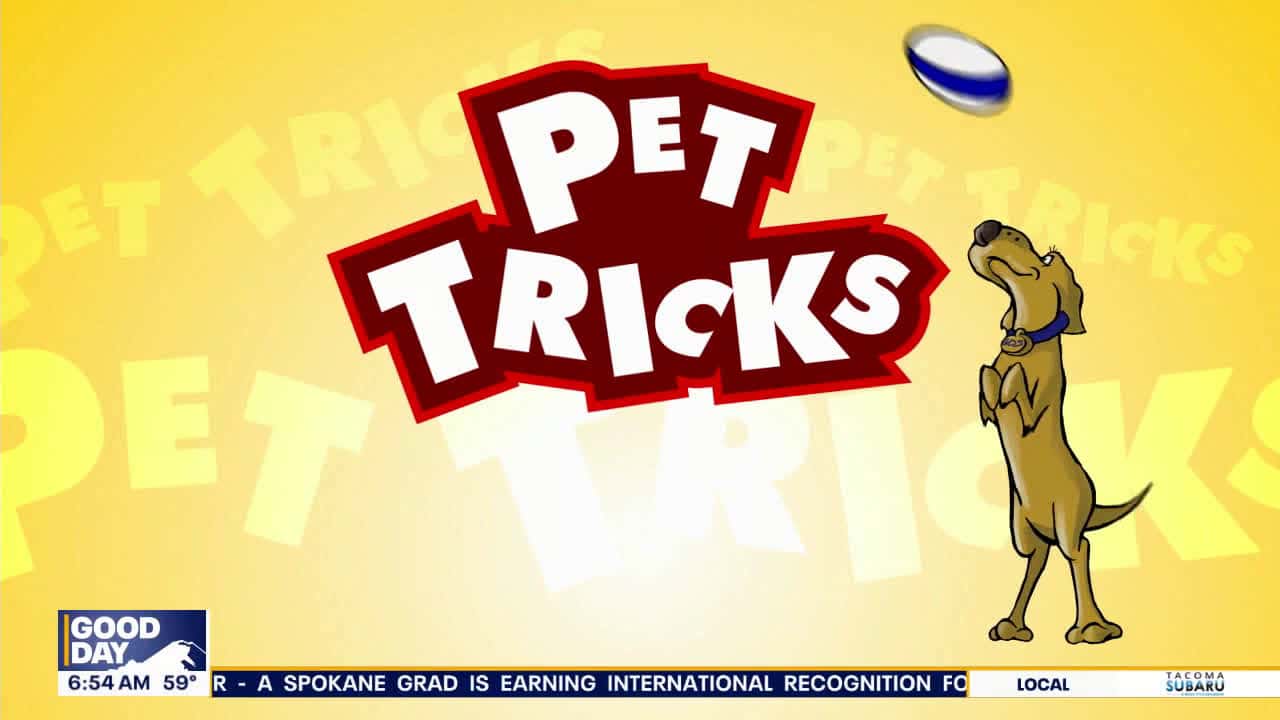 Cover for Pet Tricks for Thursday, Aug. 7