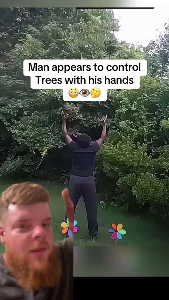 Cover for Man uses powers to move trees  #power #energy #superpower #strangerthings #airbender  created by RealWeirdTime with RealWeirdTime’s original sound