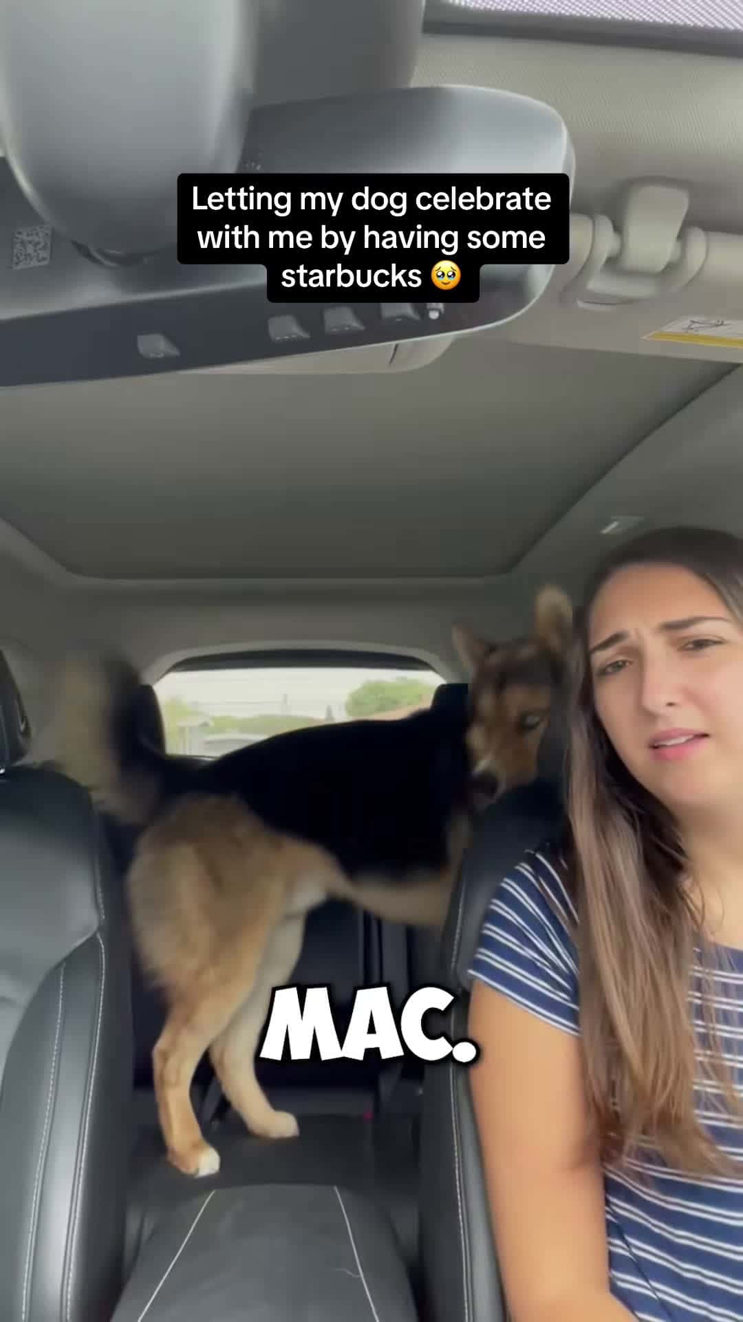 Cover for Let’s go! #Pubity (maceytheshepsky via BViral)
