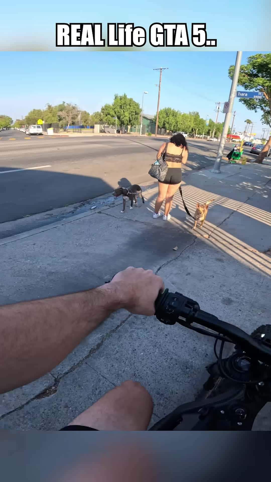 Cover for This is Why I NEVER Stop To Talk to Strangers in LA