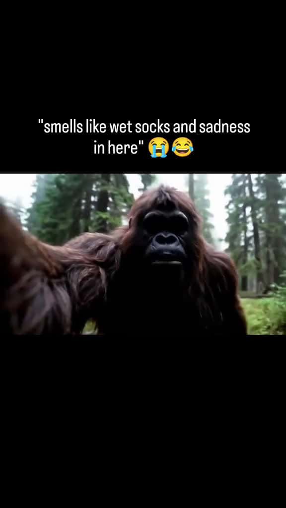 Cover for Bigfoot goes on another adventure! Today he's visiting a haunted mine somewhere deep in the mountains #TooFunnyToScroll