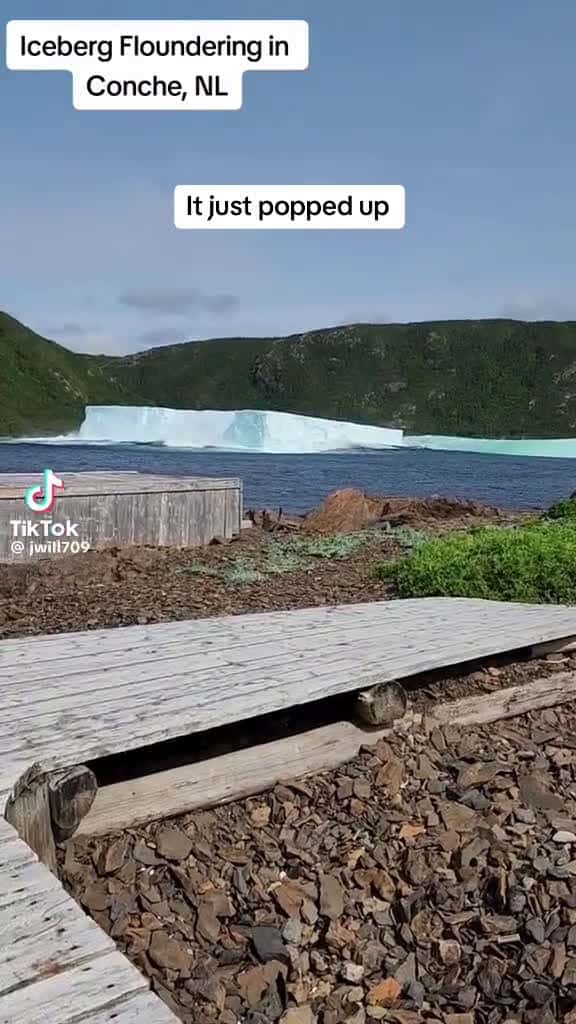 Cover for Wow tiktok viraltiktok fyp viral iceberg 61642 #shortvideosscoopz