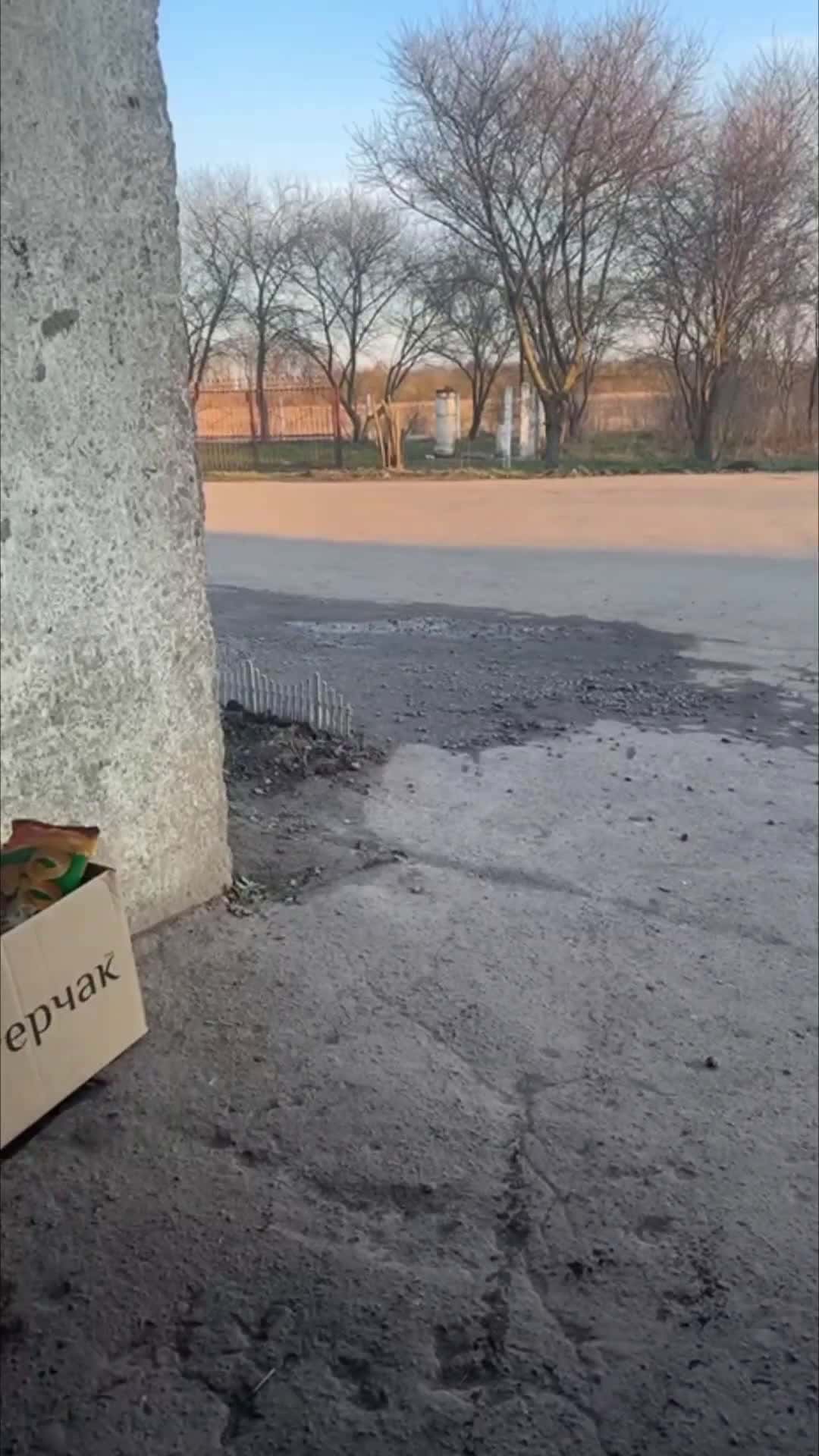 Cover for Boy Falls Off Bike After Losing Balance