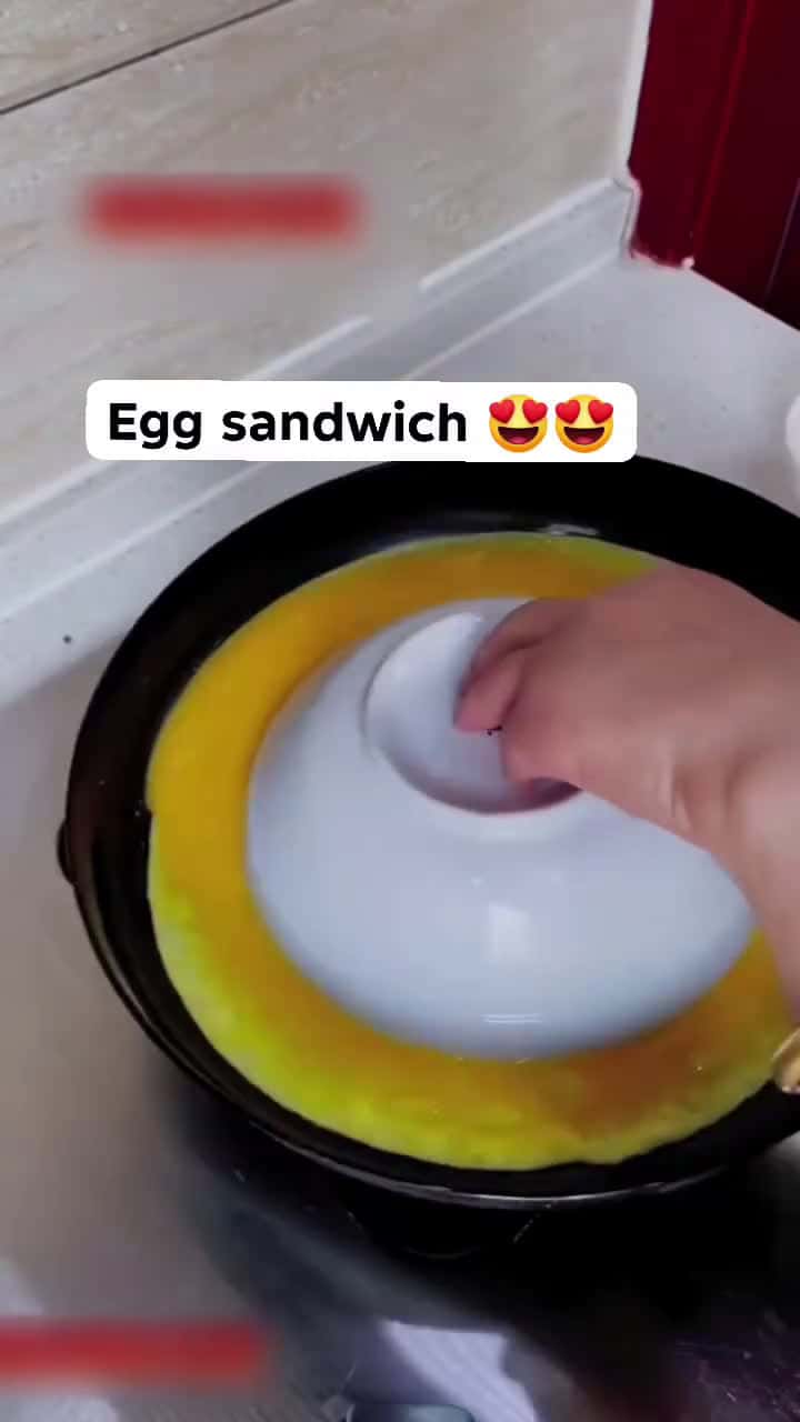 Cover for Have You Ever Seen Egg Sandwich 🥪 😋 😍 