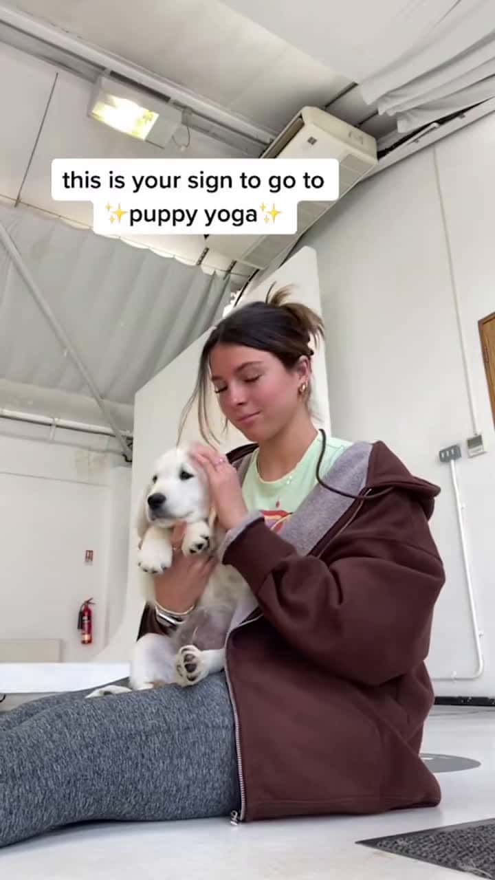 Cover for This is the cutest thing ever! Brb just signing up to every class going 🥺 @annaarcherfitness #gymshark #puppies #yoga