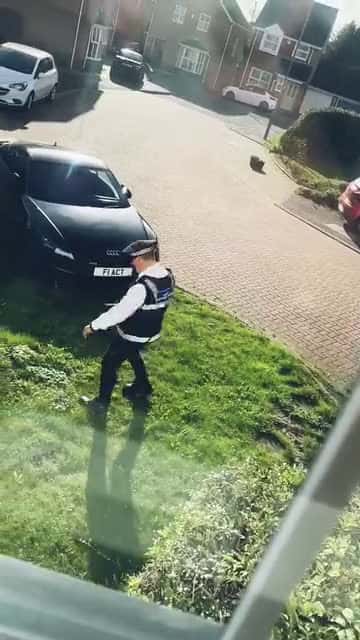 Cover for /storage/emulated/0/Download/He Gave Him A Ticket For Parking In Front Of His House