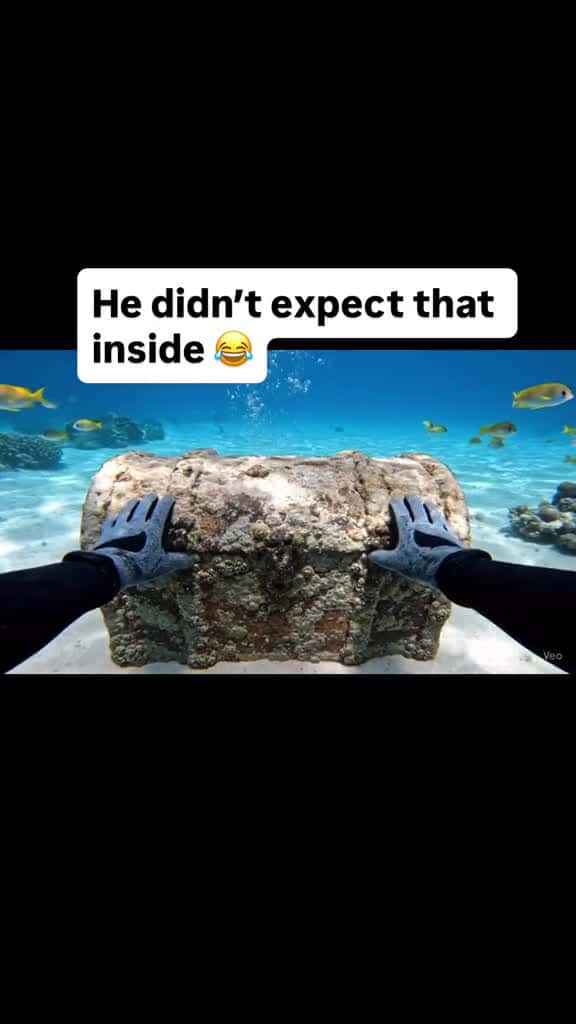 Cover for He didn’t expect that inside 😂 created by Chris and jasmin with 💽’s original sound