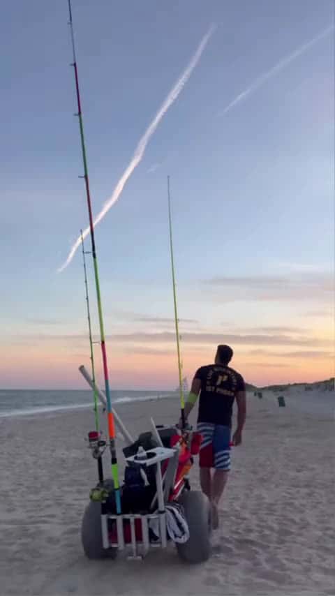 Cover for 💭Live your dream💭 #shorts #fishing #lbsf #shark #big #beach #sharkfishing #wow #dream #live_058 (2)