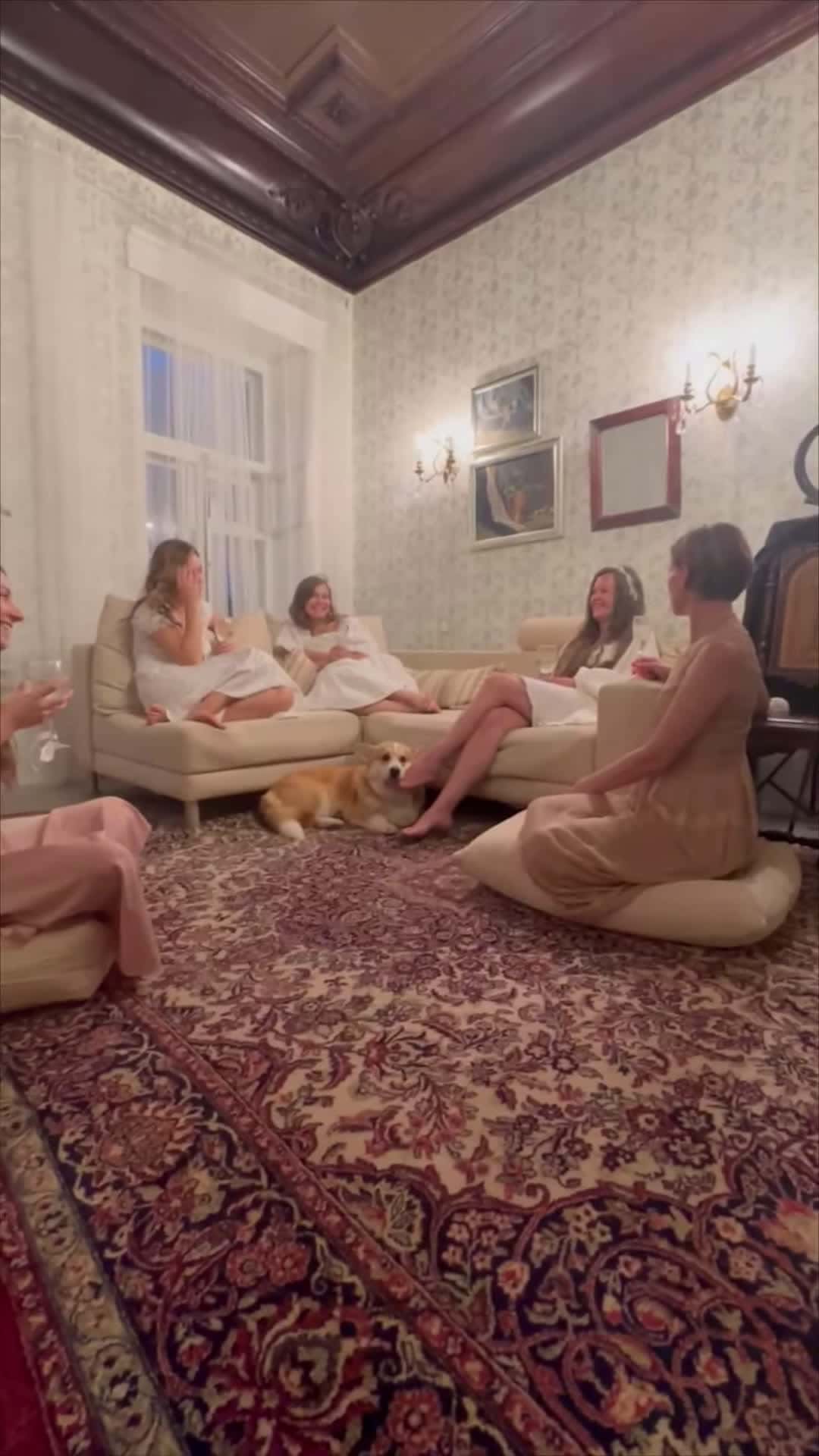 Cover for #OddlySatisfying Corgi Attends AllGirls Party as the Only Boy.