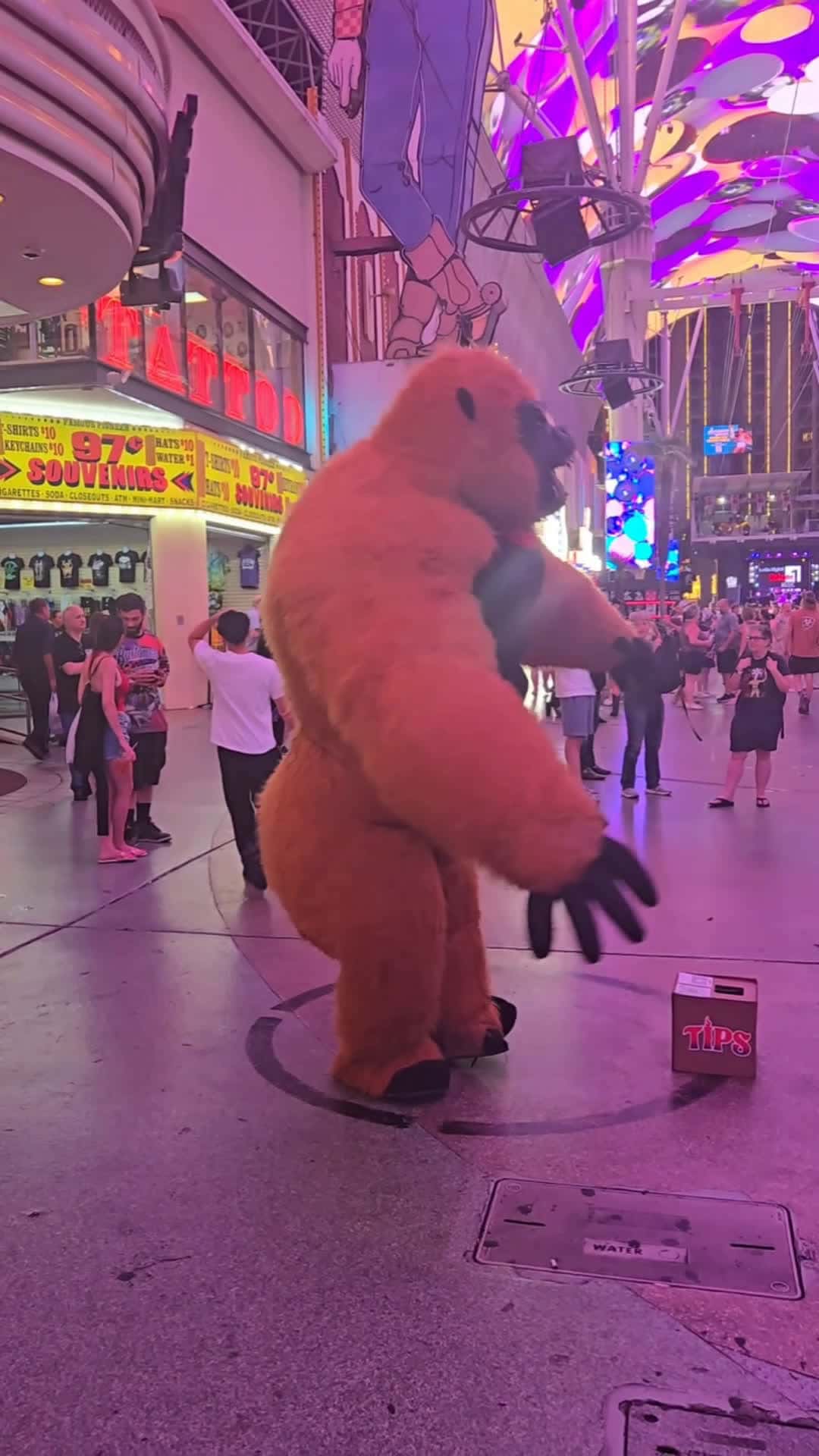 Cover for #vegas #funnyvideos 
