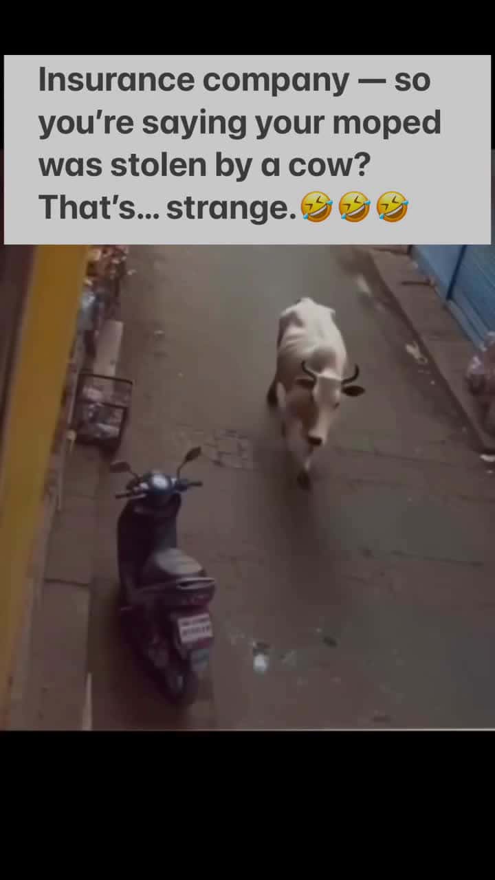 Cover for HOW DOES THAT EVEN HAPPEN🤣🤣🤣🤣🤣🤣 #wow #unexpected #comedy #explore #explorepage #fyp* #fyp #foryou #funny #foryoupage#instagram #instagood #meme #memes #reels #scoopz #shorts #trending #tiktok #usa #viral #viralvideo #video #viralvideos #lol #humor #funnymemes #comedy #funnyvideos #funny #entertainment #fypシ #TooFunnyToScroll