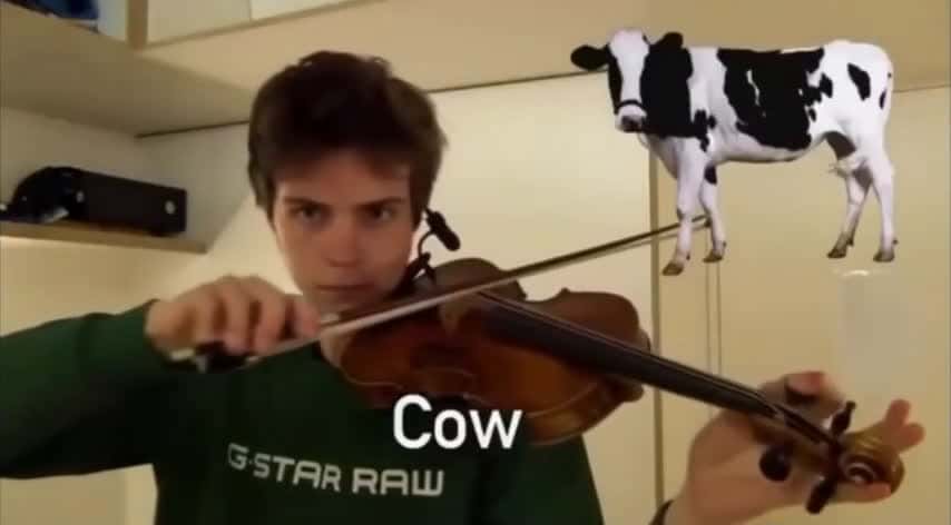 Cover for Violinist perfectly mimics animal sounds 🎻🐦 #Talent #Violin #AnimalSounds