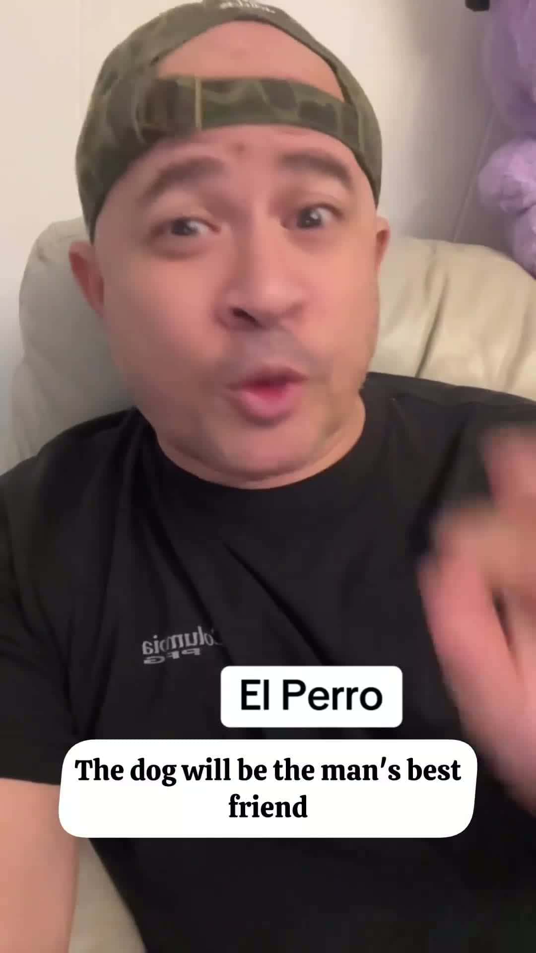 Cover for La diferencia entre el perro y el gato #parati #funnyvideoss