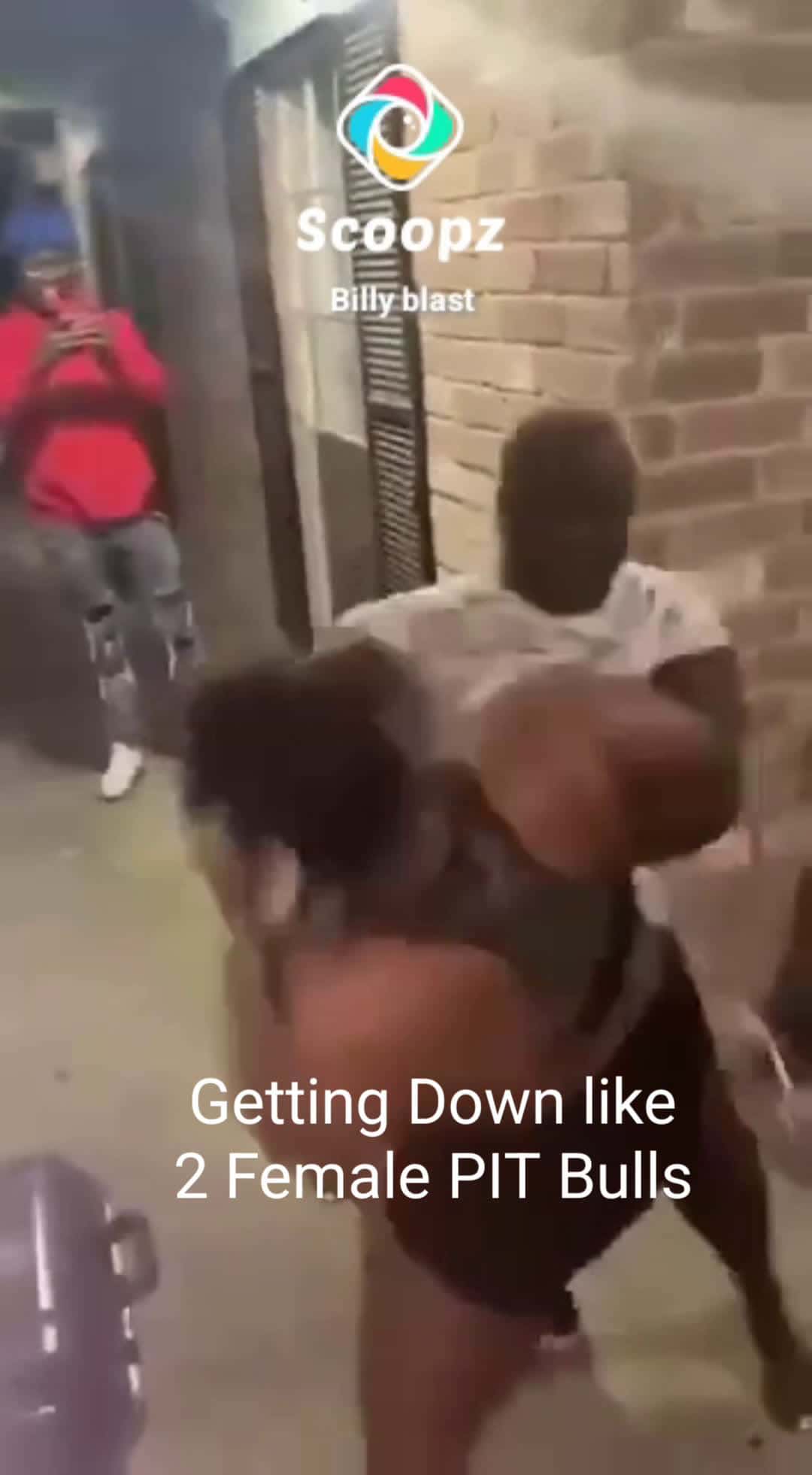 Cover for Get Down Get Down.