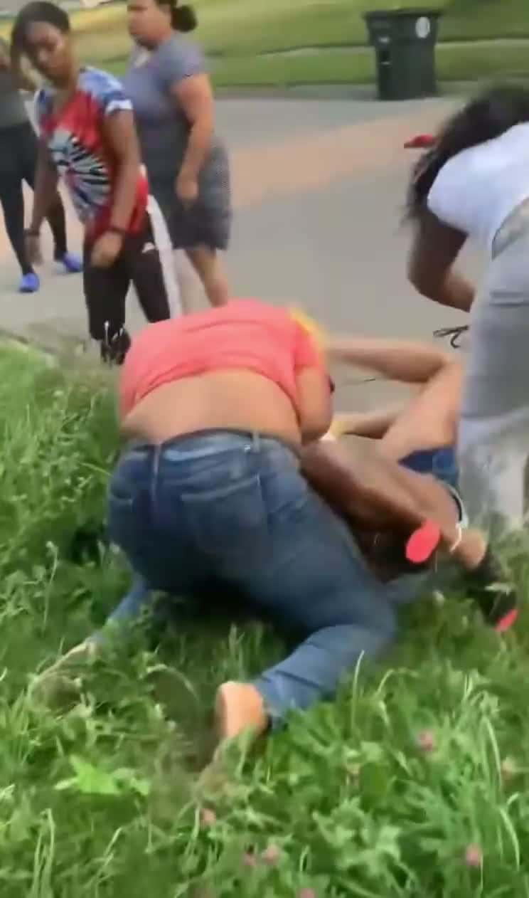 Cover for #crazy #hood #caughtoncamera #fight #figthing