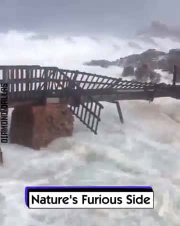 Cover for /storage/emulated/0/Download/Natures Furious Side