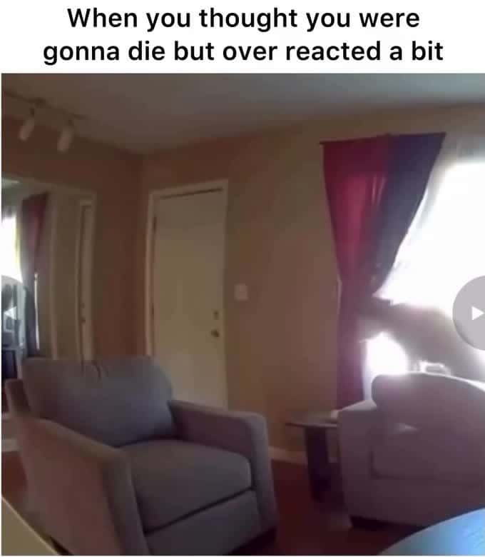 Cover for THE DOGS REACTION IS PRICELESS🤣🤣🤣😂😂😂 #wow #unexpected #comedy #explore #explorepage #fyp* #fyp #foryou #funny #foryoupage#instagram #instagood #meme #memes #reels #scoopz #shorts #trending #tiktok #usa #viral #viralvideo #video #viralvideos #lol #humor #funnymemes #comedy #funnyvideos #funny #entertainment #fypシ #TooFunnyToScroll