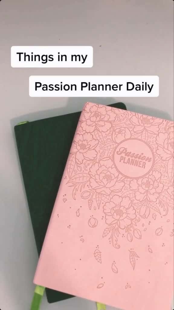 Cover for Things in my PassionPlanner Daily that just makes sense  planning bujo lifehacks  84389 #shortvideosscoopz