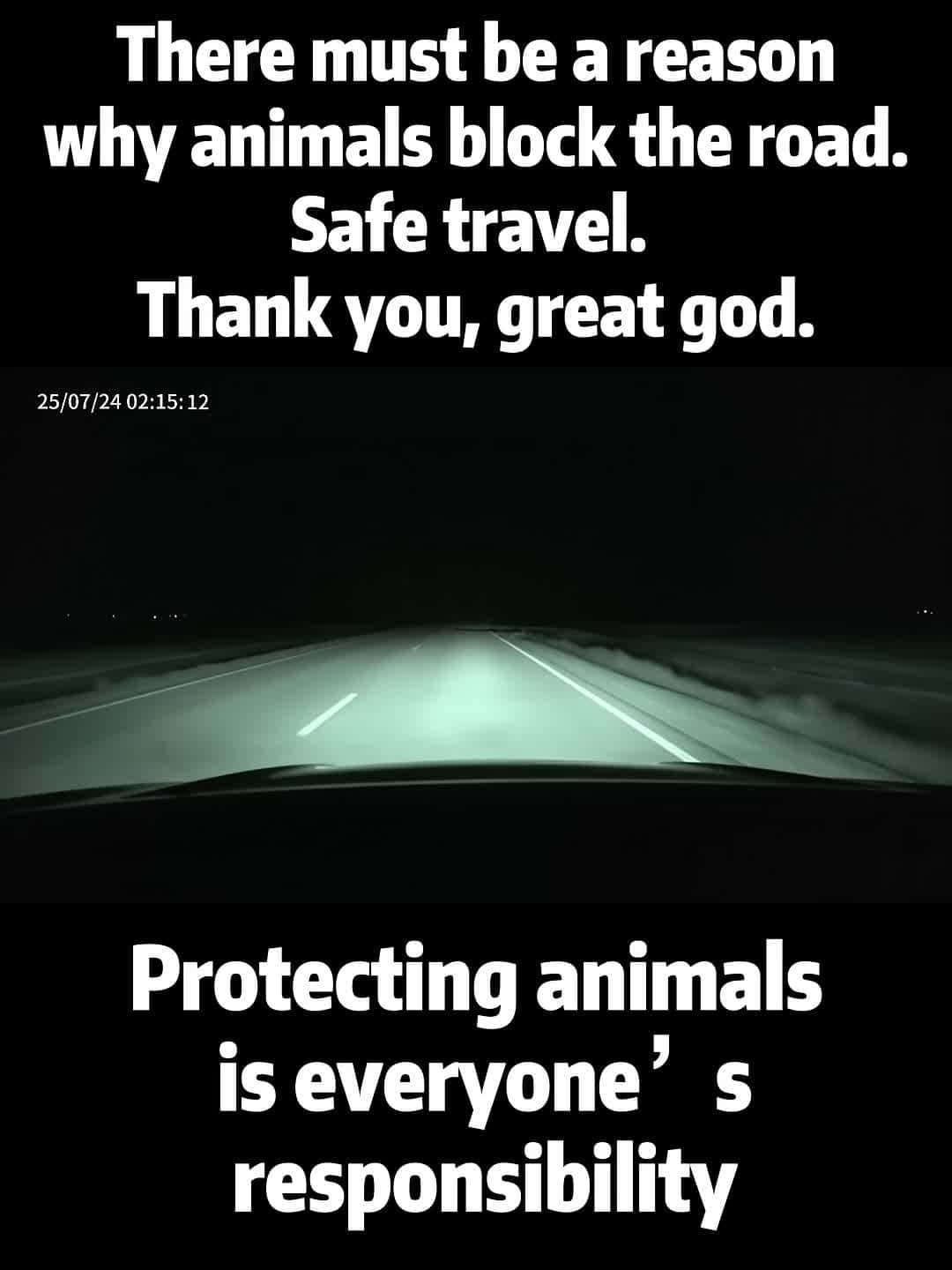 Cover for There must be a reason why animals block the road. Please go in and out safely. Thank you, Great God