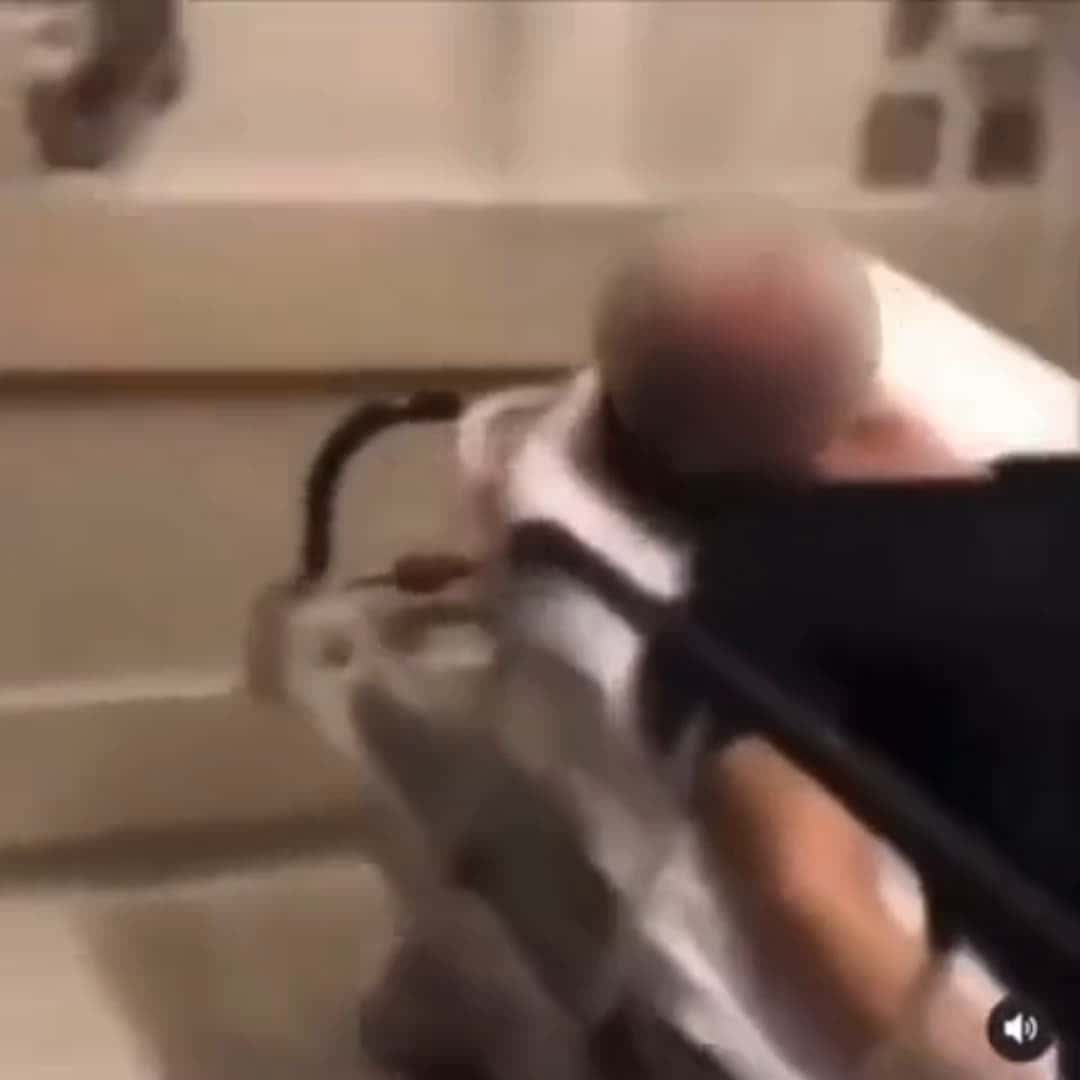 Cover for #TrueCrimeStories #police #policeofficer #policeofficers #policeclips #policevideo #policevideos #policecam #policebodycam #policechase #cop #cops #copwatch #copsusa #viral #viralvideo #fyp #fypシ #fypツ #fyp #fypp #fyppp #fypviral