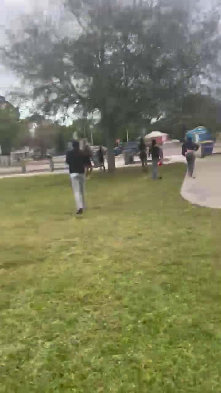 Cover for Throwing eggs is crazy 🤣