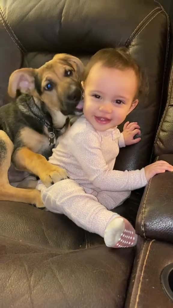 Cover for Dog love baby dog baby pet Love lovestory bestfriend cute dogsoftiktok foryou usa 23149 #american