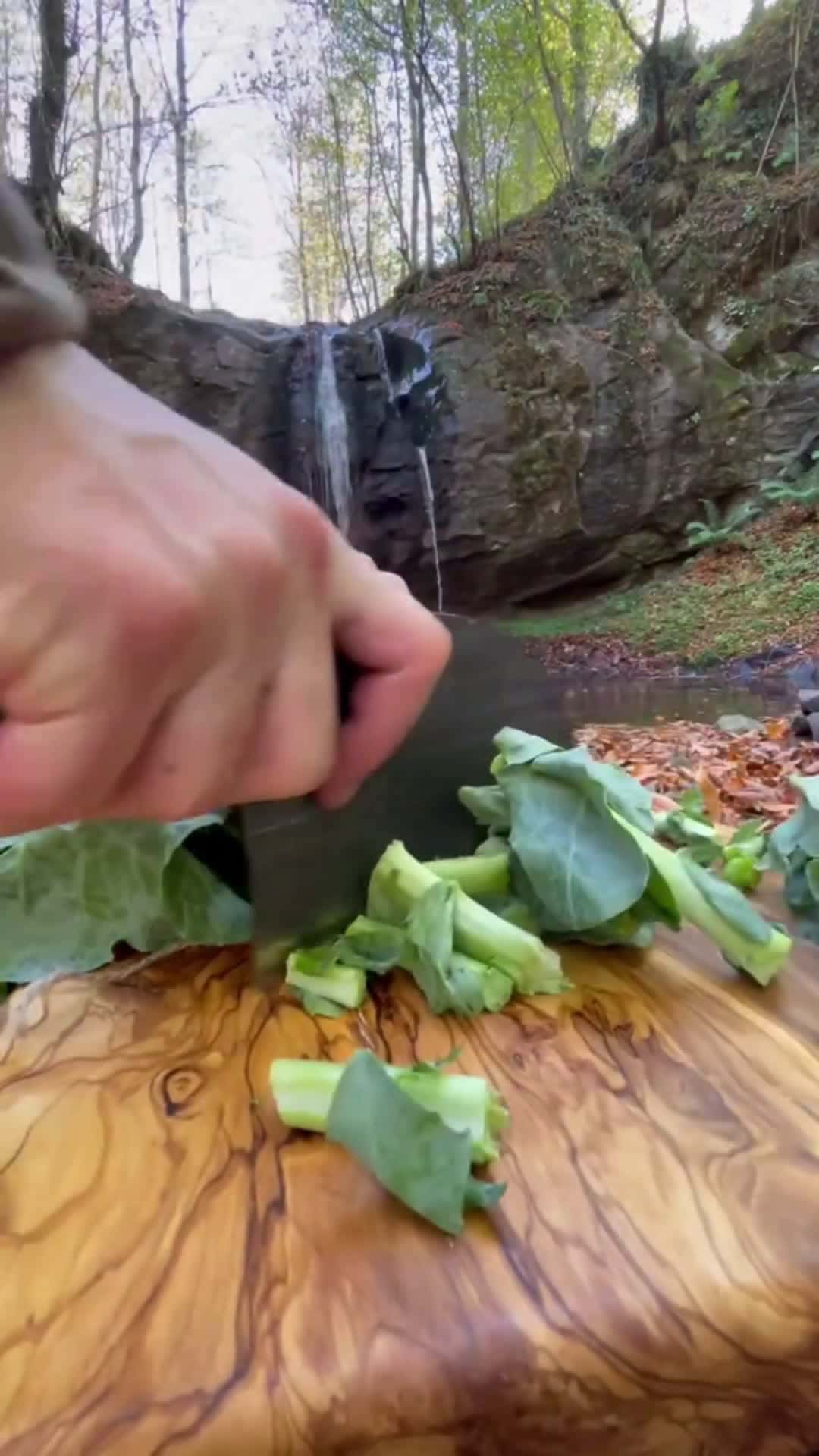 Cover for Lamb Dish in the Forest 😍🔥 #lamb #cooking #recipe #outdoorcooking #asmr #knifeskills