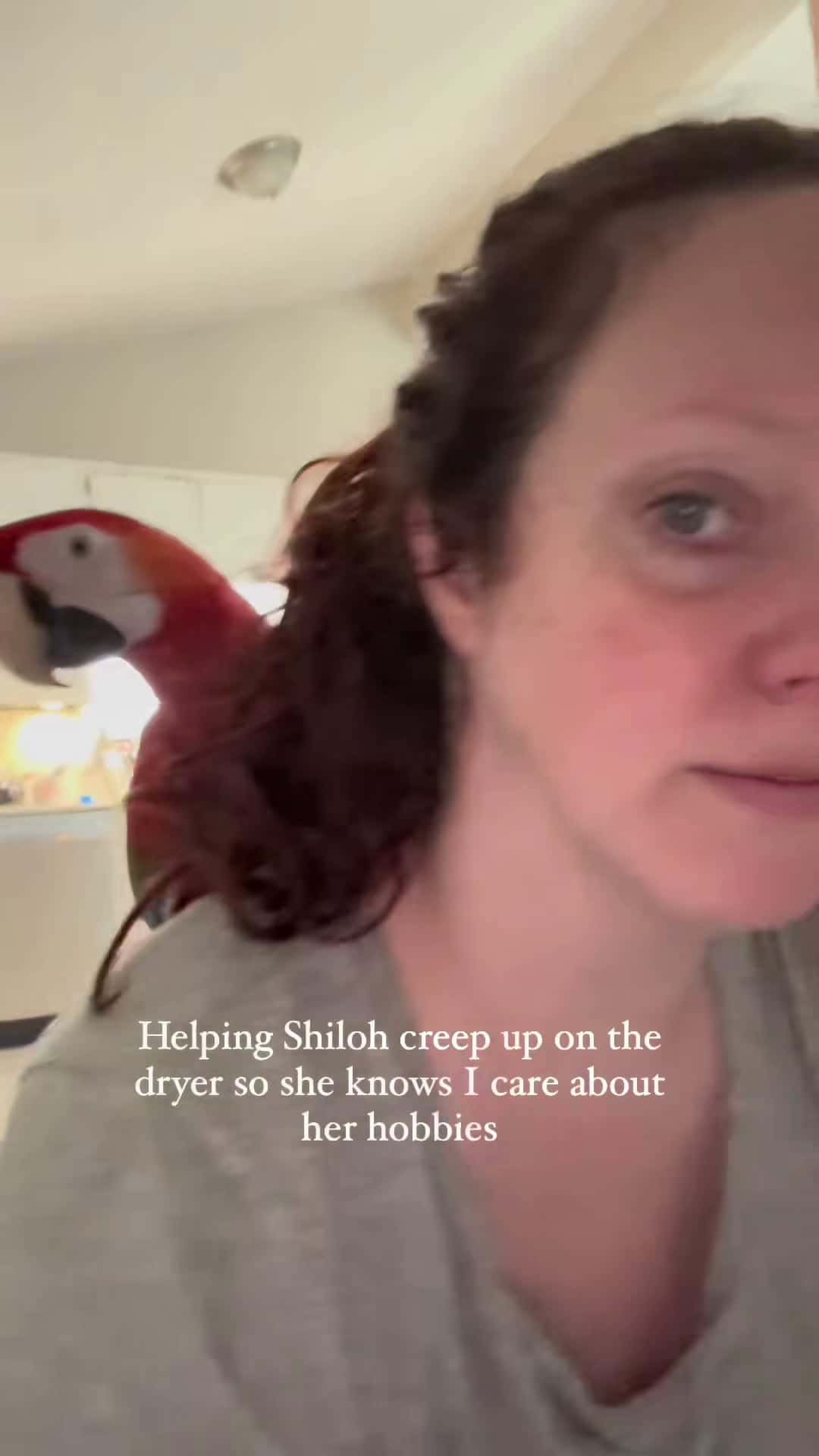 Cover for It’s the little things that matter most #shilohthecaprimacaw  Reel inspired by @thegreenbirdbrigade #myflyingfids #macawsoftiktok
