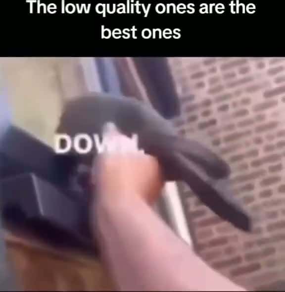 Cover for BRO IS SO DEVIOUS FOR THAT 🤣🤣🤣😂😂😂😂😂😂😂😂 #wow #unexpected #comedy #explore #explorepage #fyp* #fyp #foryou #funny #foryoupage#instagram #instagood #meme #memes #reels #scoopz #shorts #trending #tiktok #usa #viral #viralvideo #video #viralvideos #lol #humor #funnymemes #comedy #funnyvideos #funny #entertainment #fypシ