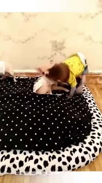 Cover for Funny Dogs Puppy And Baby Monkey Compilation How beautiful is this relationship #funnyanimals #funnypetsvideo #amazinvideo #animalrescuse #cutebabies #dogs #kittens #funnyvide 1