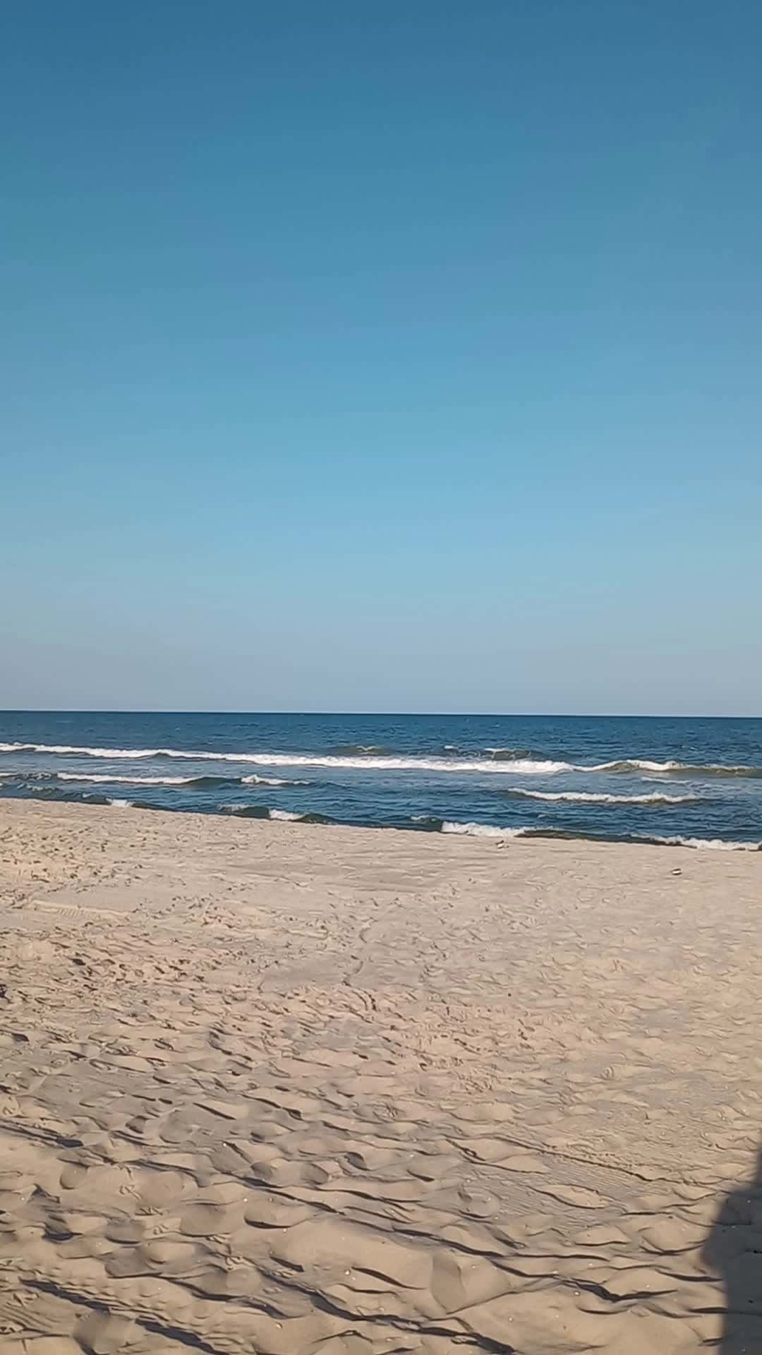 Cover for Beach at Long Beach Island 