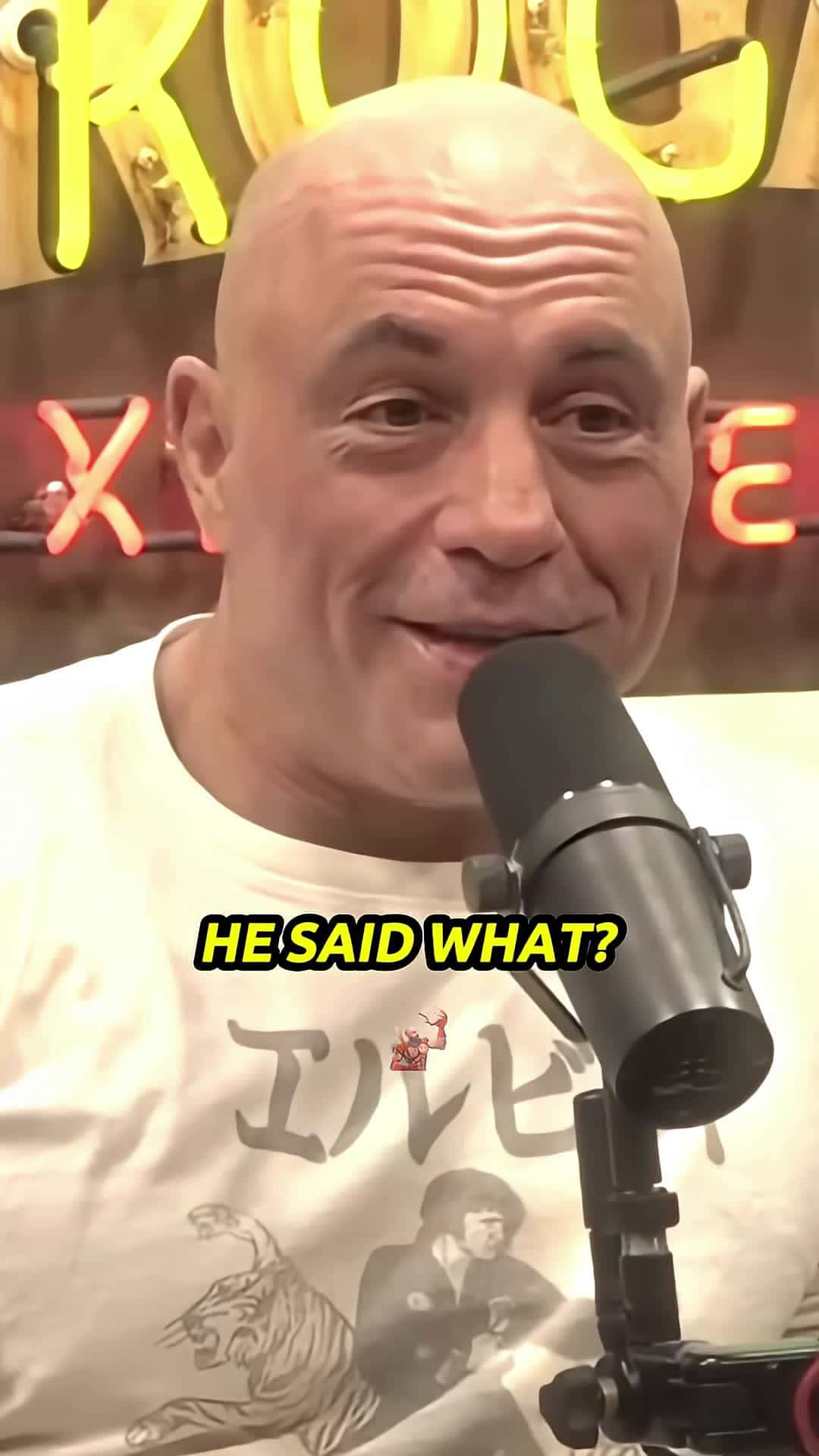 Cover for Joe Rogan Reacts to Woke Liberal Reporter Getting DESTROYED By Conservative Man