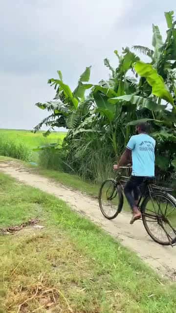 Cover for What kind of amazing video 🤣🤣🤣