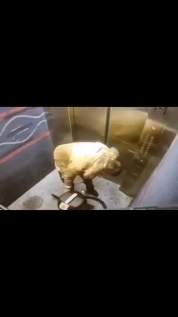 Cover for Man gets vacuum cord stuck in Elevator door...😂😂 #elevatorfail #haunted #elevator #funny #fyp #killervacuum