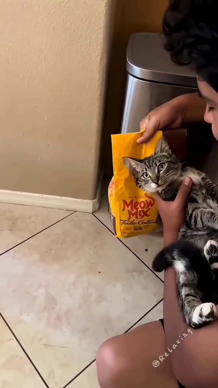 Cover for Oddly satisfying moments you can’t look away from! 🤩 #Satisfying #OddlySatisfying #Mesmerizing