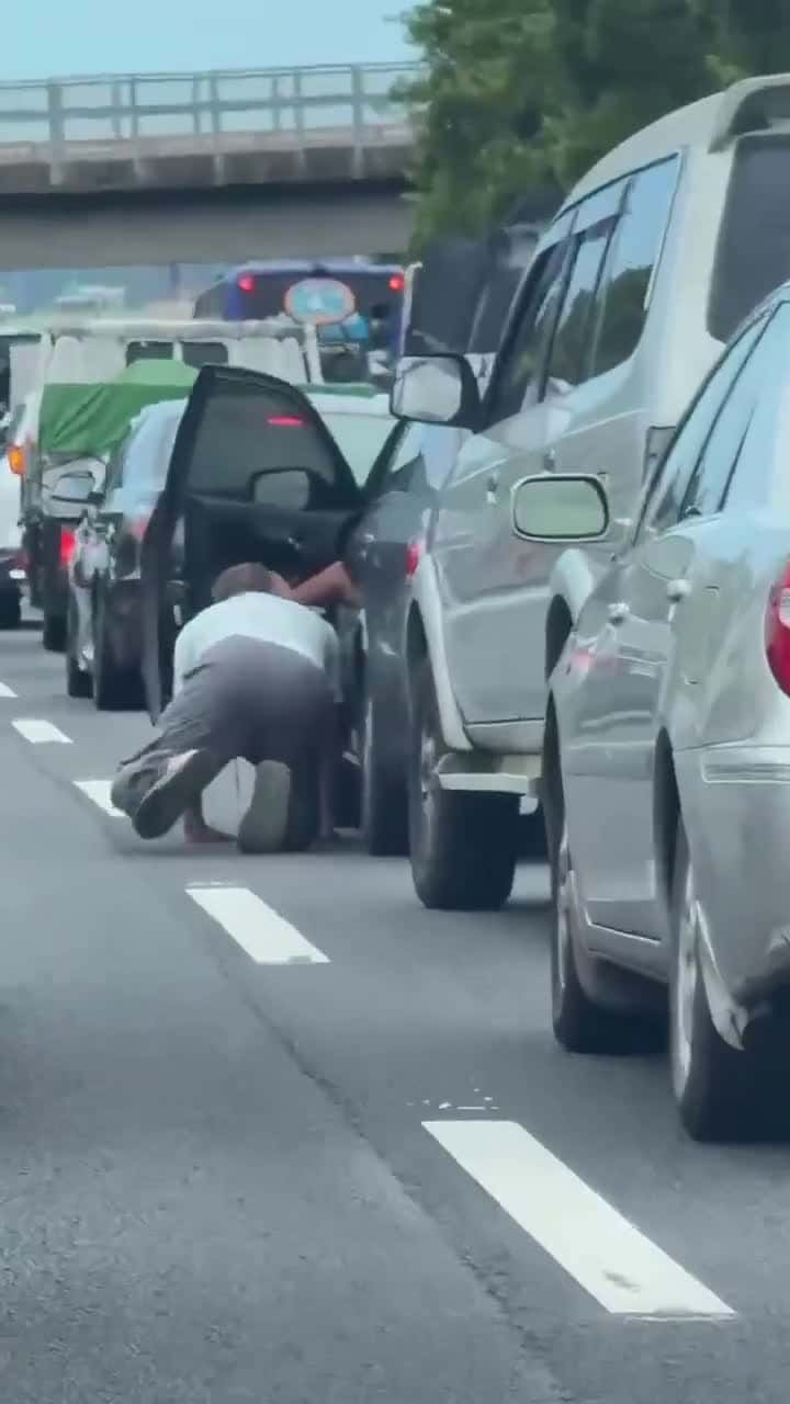 Cover for This guy rescued a kitten in high traffic #OddlySatisfying