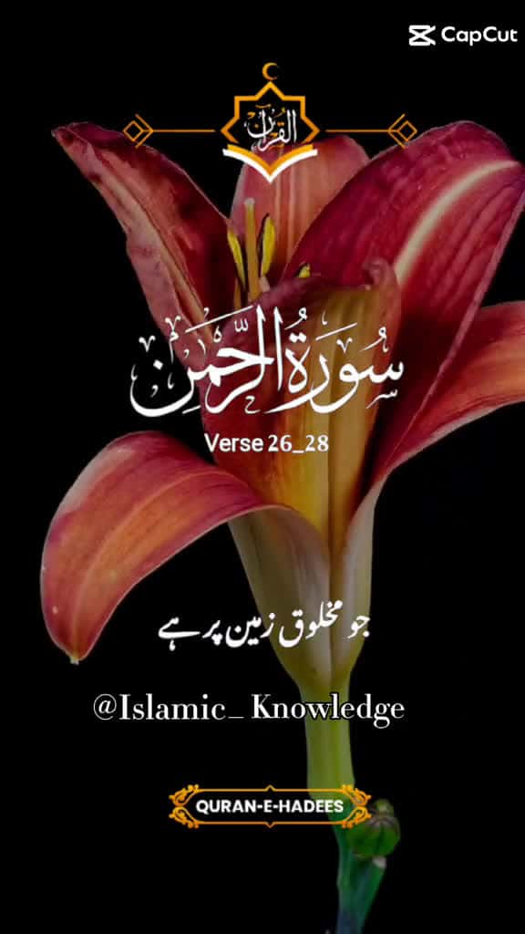 Cover for Surah Rehman verse 26-28 islamicinspiration islam islamic video viraltiktok makkah madinah 37825 #followMe