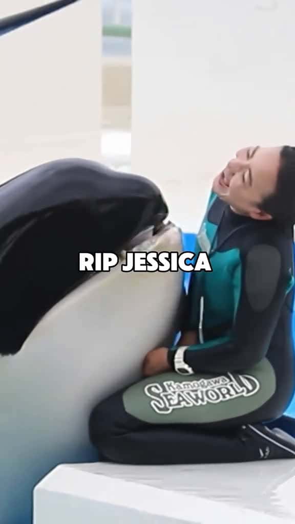 Cover for #orcas #trending #foryou #orcas #trending #foryou  #orcas #trending #foryou  #orcas #trending #foryou  #orcas #trending #foryou  created by Storm with Storm’s original sound