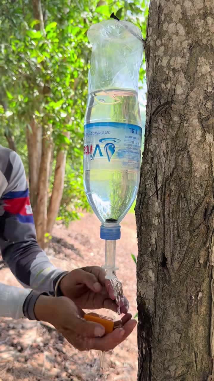 Cover for The guy Show DIY Ideas Save SOAP 🧼 #survival #outdoors #camping