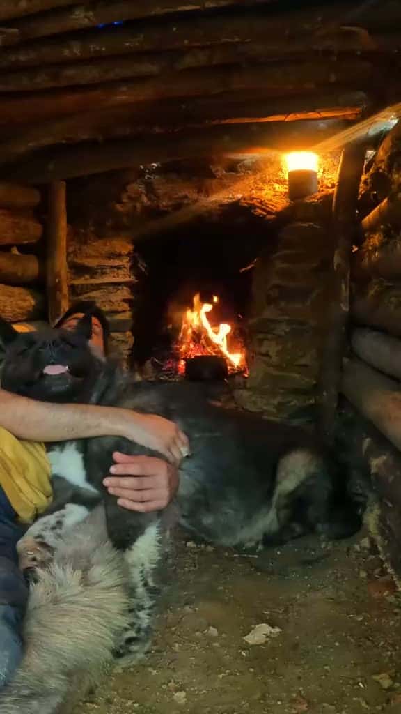 Cover for Cozy Bushcraft Shelter with a Fireplace 🔥🏕️ Join us for a wilderness adventure with my furry friend! #Bushcraft #Survival #Camping