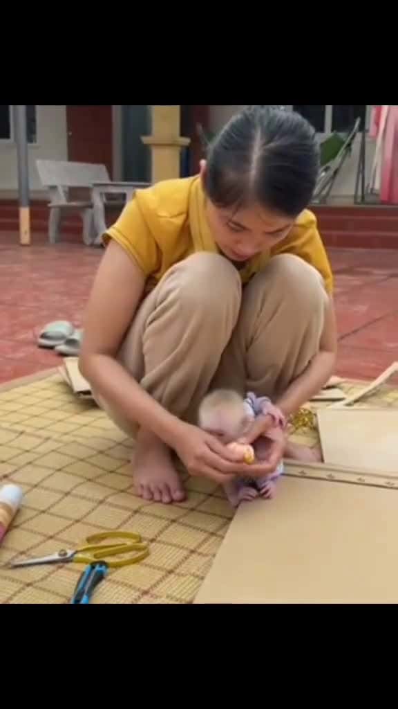 Cover for monkey baby work with mother 😊 #babymonkey #bibimonkey  created by Baby Monkey Family with Baby Monkey Family’s original sound