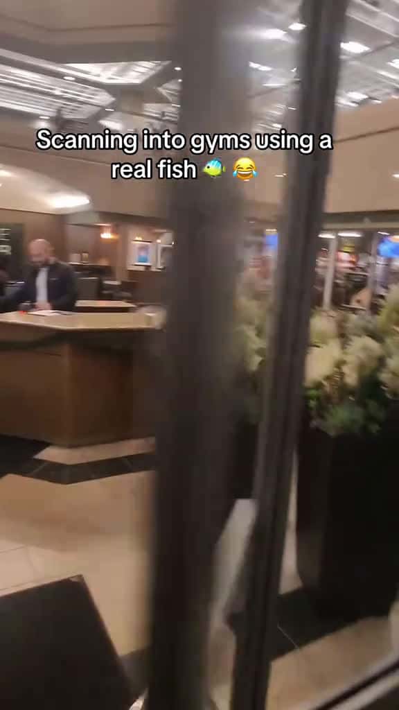 Cover for he was so upset at my fish laugh funny manager gyms fish fyp blowthisupforme 10347 #trend