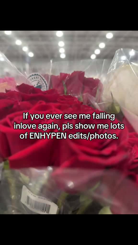Cover for IT WILL HELP foryoupage enhypen fyppppppppppppppppppppppp fyp xyzbca fypp enhypenengene ma 02791 #trend