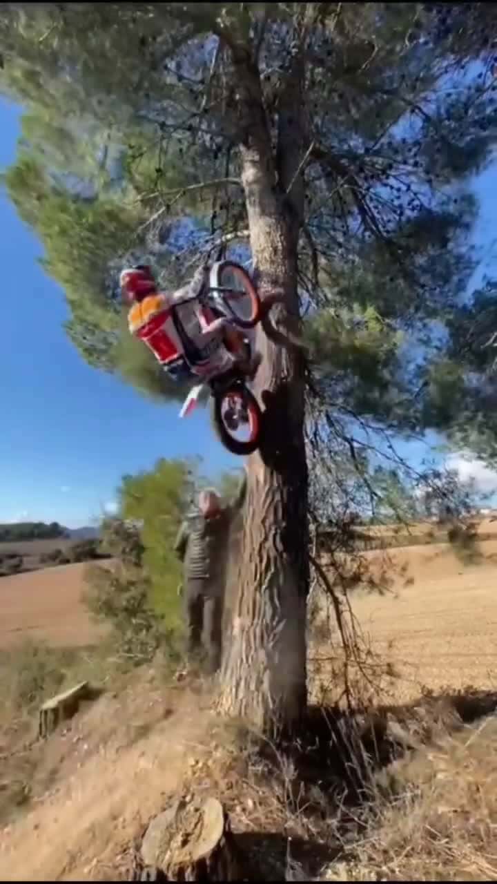Cover for I’m gonna park it up a tree! 😂😎😎😎