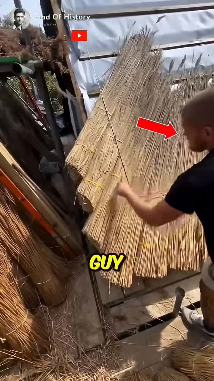 Cover for Genius Trick To Beat The Summer Heat