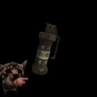 Cover for hopes this wake you up a bit fyp elgatito foryou cat meme 95406 #nicevideo