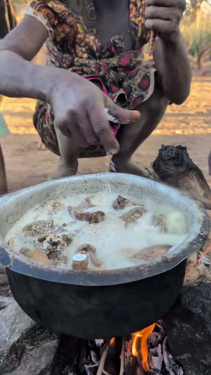 Cover for Hadzabe tribe cooks their favorite meal middle of nowhere ‼️😋#africastories #USA #tiktokindia #hadzabetribe