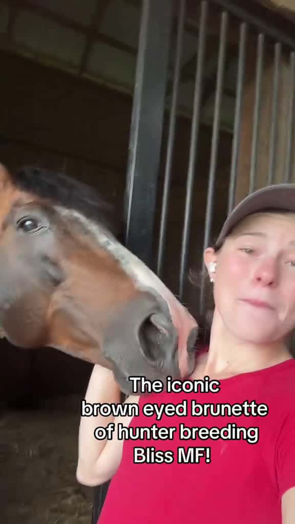 Cover for Bliss MF the icon himself is now a TikTok star brunette eduestriansortiktor breedingseason 33687 #trendingscoopz