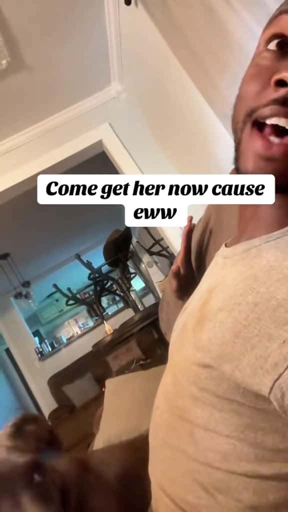 Cover for When the dog says no to your idea fyp dog dogs doglover dogsoftiktok 41870 #shortvideos