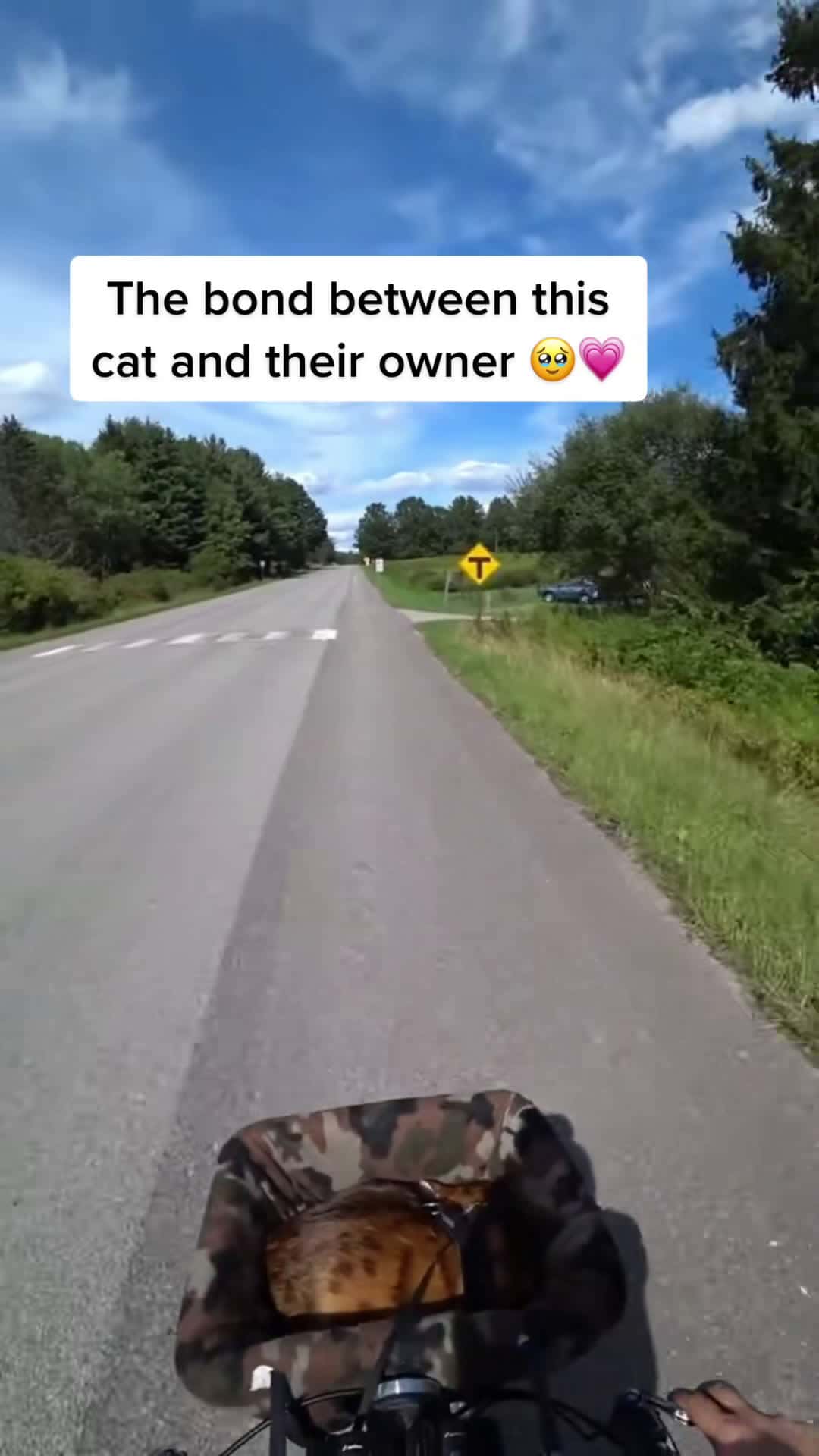 Cover for #CaughtOnCameraTearing up over here 🥹💕#catlover #bikelife